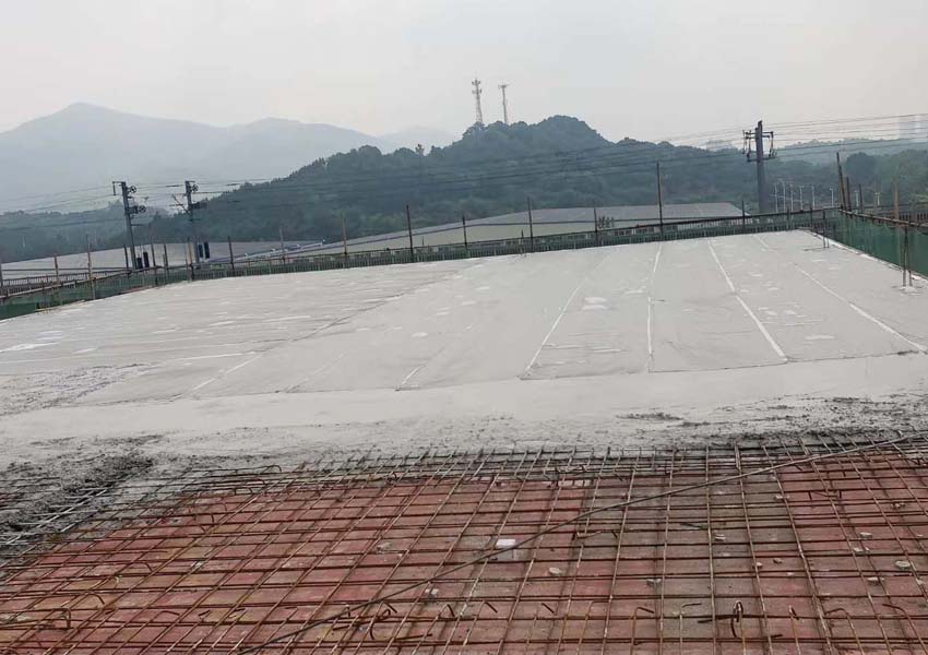 PP电子5金狮·(中国区)游戏官方网站