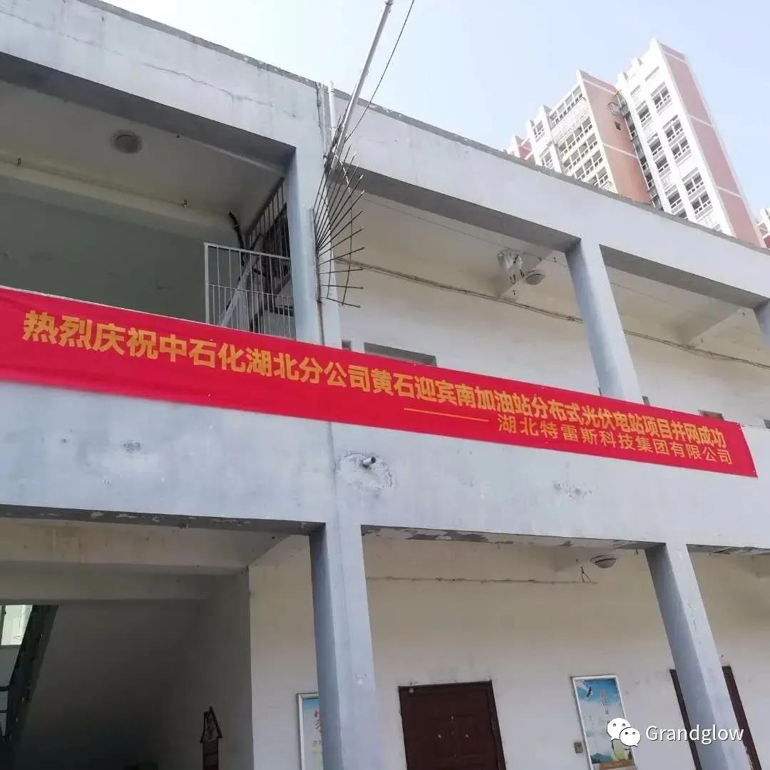 PP电子5金狮·(中国区)游戏官方网站