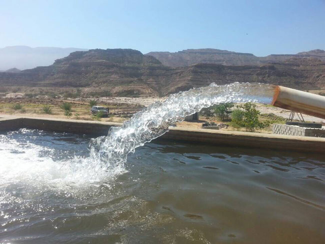 PP电子5金狮·(中国区)游戏官方网站