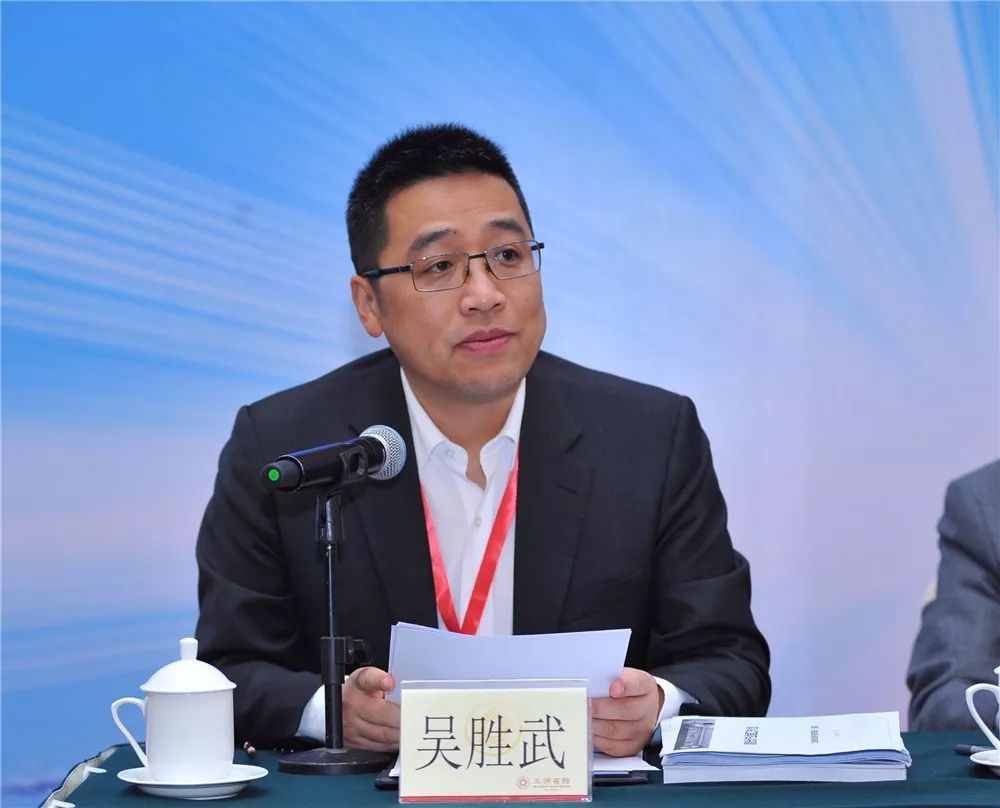 吴胜武：加速对新型显示、智能光伏、集成电路工业立异结构