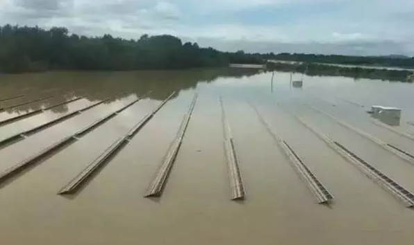 PP电子5金狮·(中国区)游戏官方网站