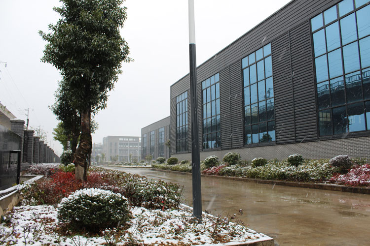 PP电子5金狮·(中国区)游戏官方网站