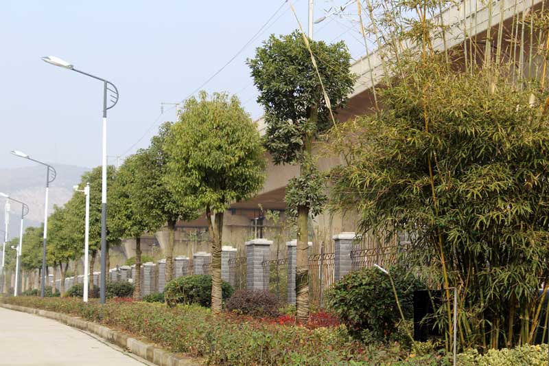 PP电子5金狮·(中国区)游戏官方网站