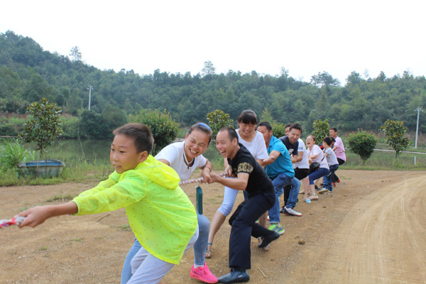 PP电子5金狮·(中国区)游戏官方网站