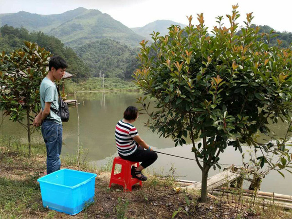 PP电子5金狮·(中国区)游戏官方网站