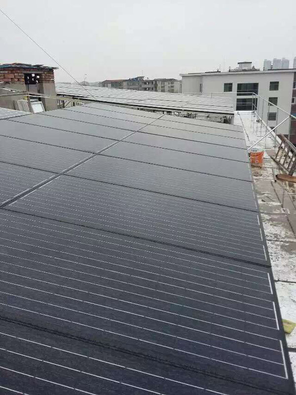 PP电子5金狮·(中国区)游戏官方网站