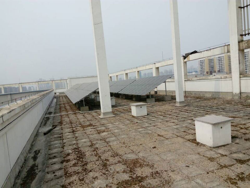 PP电子5金狮·(中国区)游戏官方网站