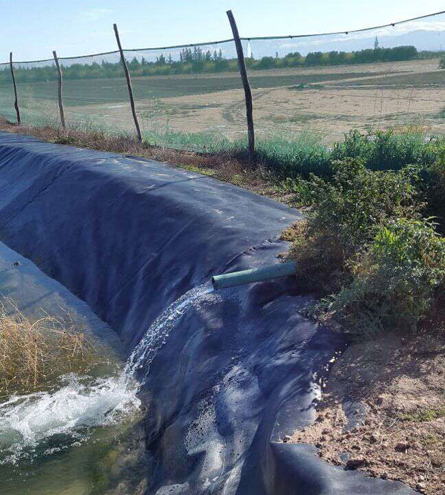 PP电子5金狮·(中国区)游戏官方网站