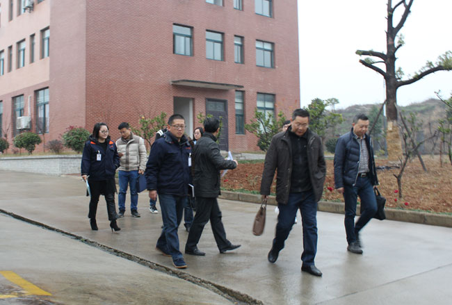 PP电子5金狮·(中国区)游戏官方网站