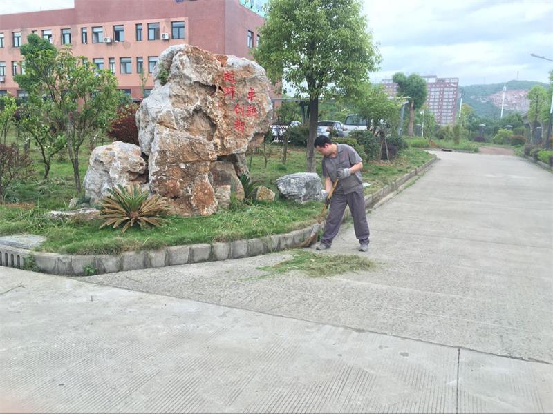 PP电子5金狮·(中国区)游戏官方网站