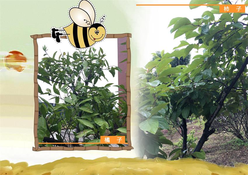 PP电子5金狮·(中国区)游戏官方网站