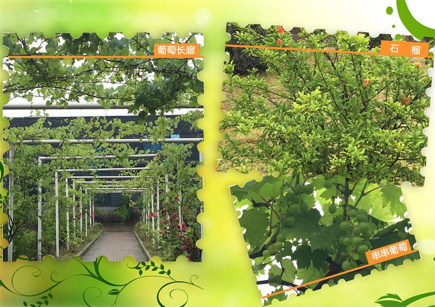 PP电子5金狮·(中国区)游戏官方网站