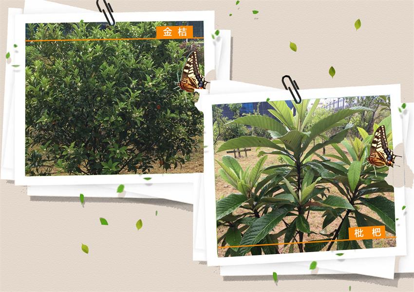 PP电子5金狮·(中国区)游戏官方网站