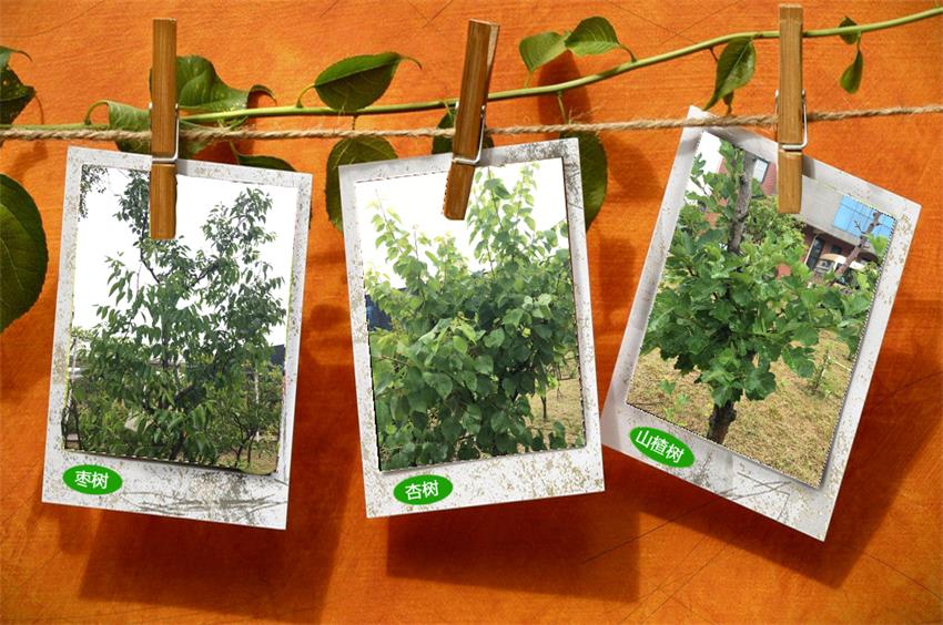 PP电子5金狮·(中国区)游戏官方网站