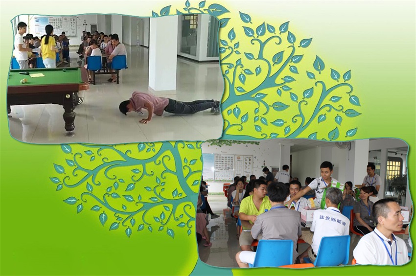 PP电子5金狮·(中国区)游戏官方网站