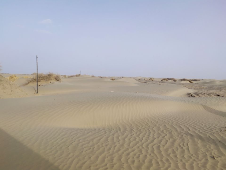 PP电子5金狮·(中国区)游戏官方网站