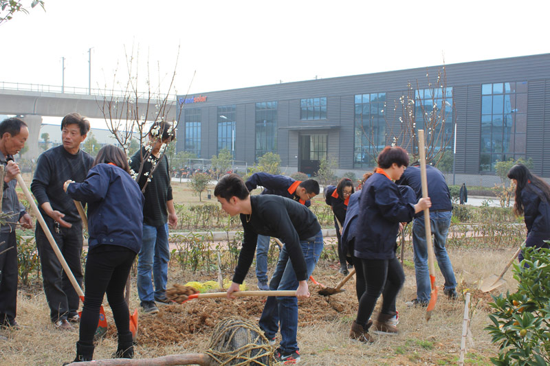 PP电子5金狮·(中国区)游戏官方网站